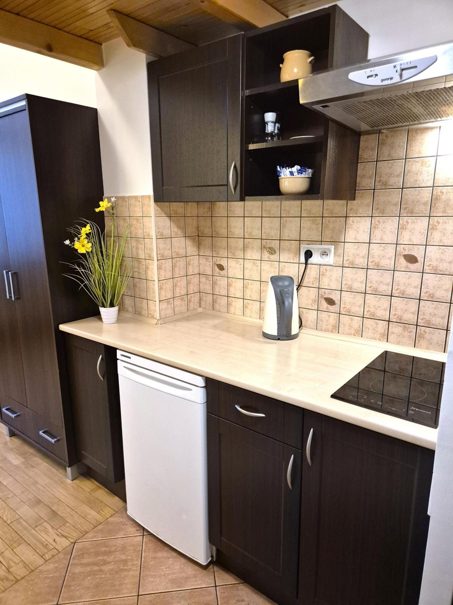 Apartment Safona - Pantheon Krakow